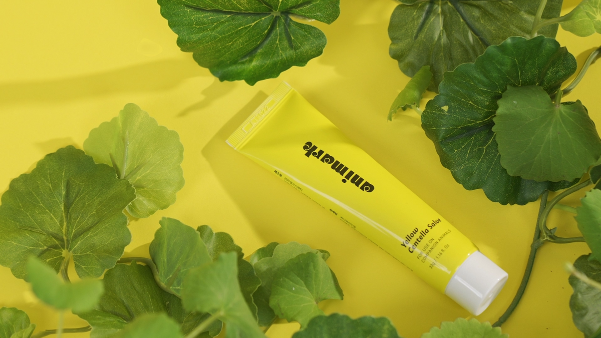 Animark: Yellow Centella Salve, the Purrr-fect skincare ointment for a ...