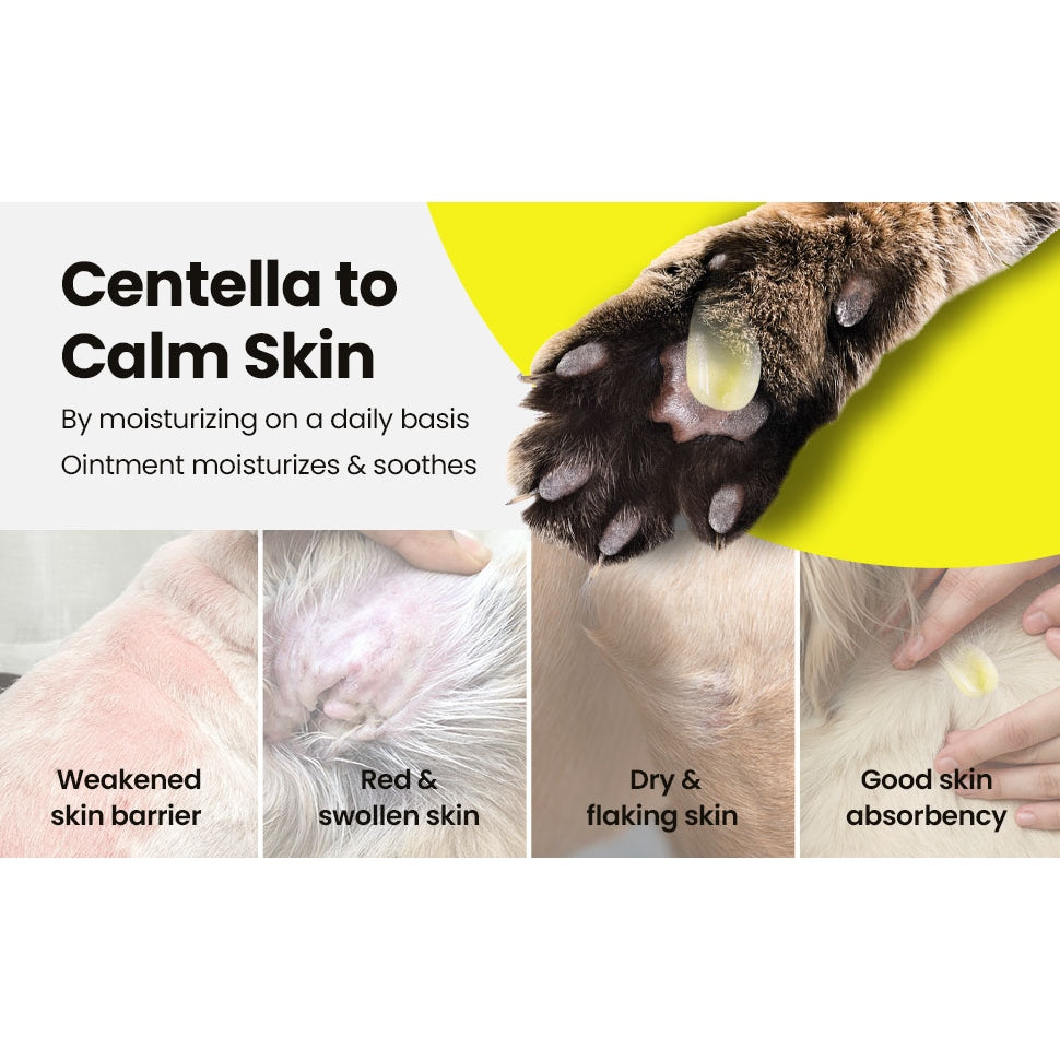 Animark Healing Ointment for Natural Pet Skin Relief